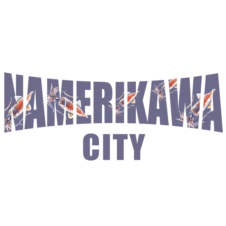 NAMERIKAWA CITY T cp0004