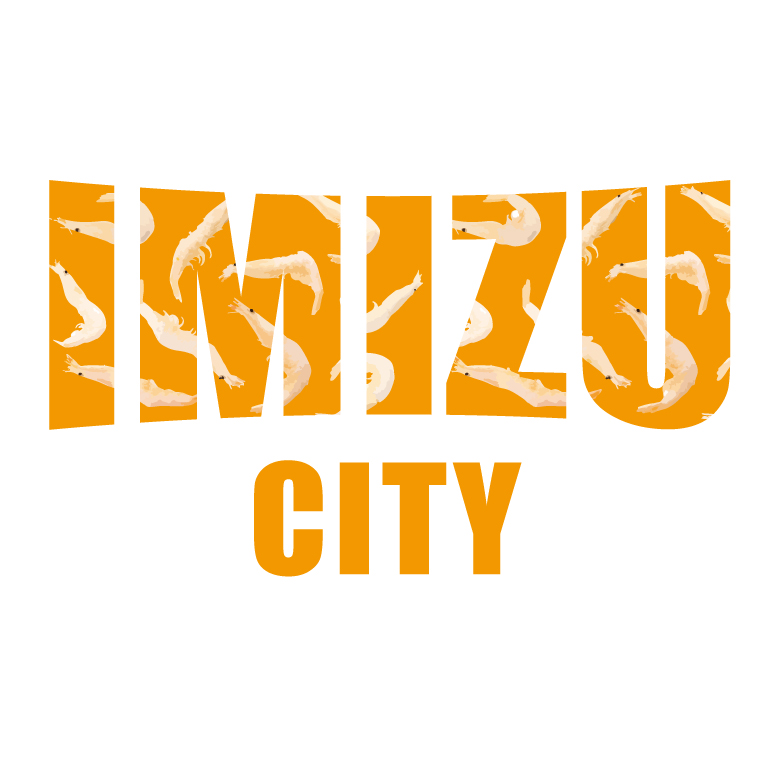 IMIZU CITY T cp0020