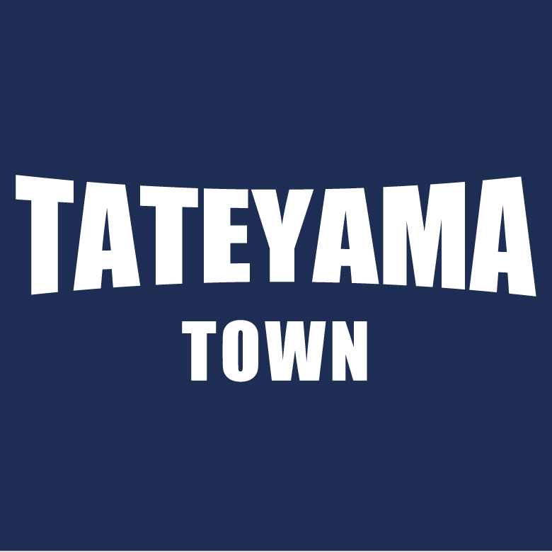  TATEYAMA TOWN ɥ饤T cp0029