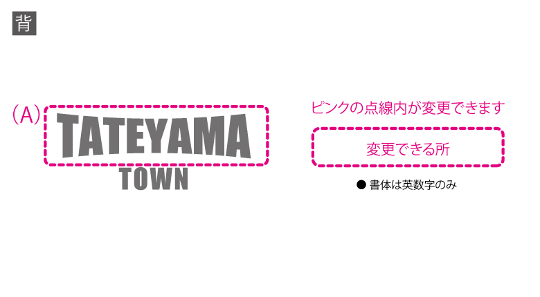  TATEYAMA TOWN ɥ饤T cp0029