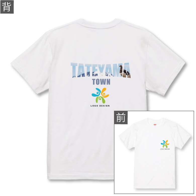 TATEYAMA TOWN  T cp0030