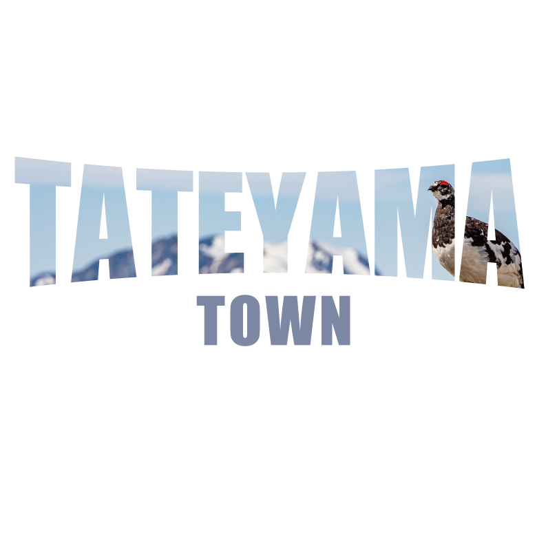  TATEYAMA TOWN  T cp0030