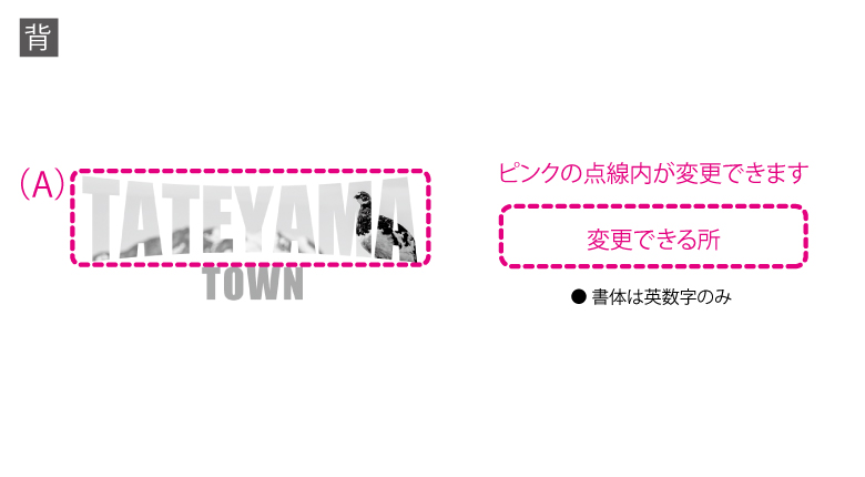  TATEYAMA TOWN  T cp0030