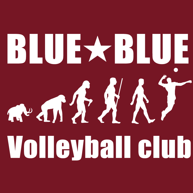 �ʲ����Х졼�ܡ��� �ɥ饤T sp057