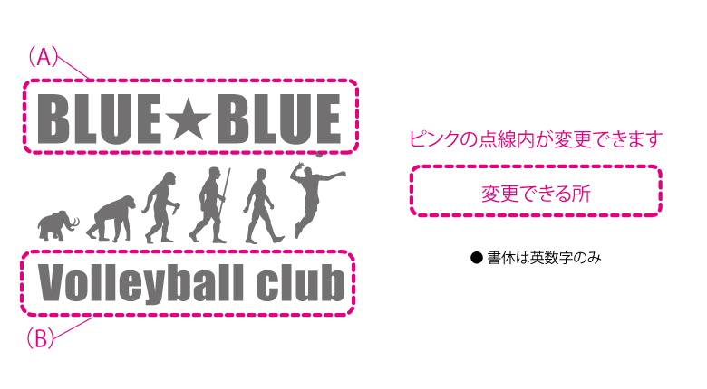 �ʲ����Х졼�ܡ��� �ɥ饤T sp057