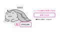䤹ߥT_ky0039